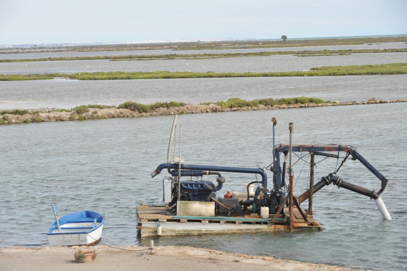 Las Encañizadas; protecting this historic fishing technique in La Manga del Mar Menor