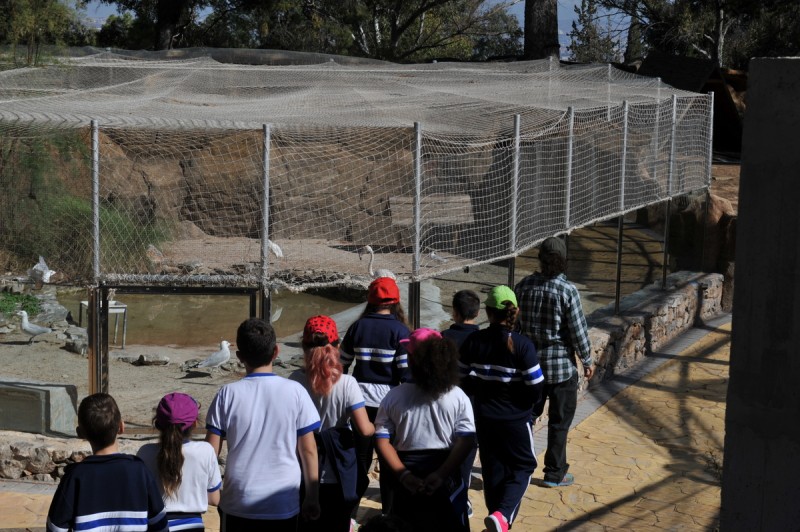 El Valle Wildlife Recovery Centre: Centro de Recuperación de Fauna Silvestre de El Valle