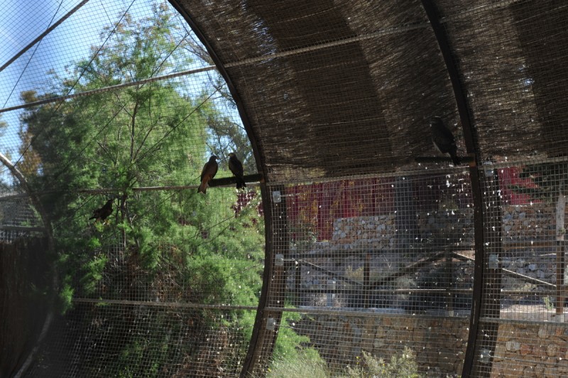 El Valle Wildlife Recovery Centre: Centro de Recuperación de Fauna Silvestre de El Valle