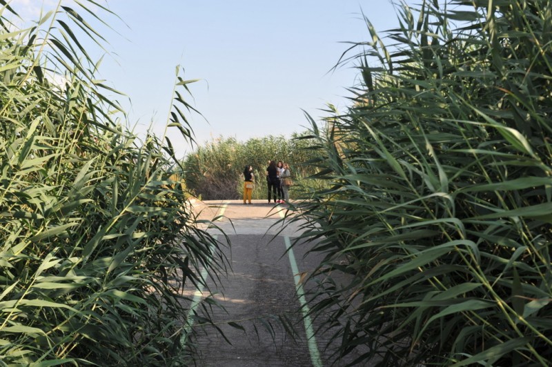 The protected wetlands of Lagunas de Campotejar in Molina de Segura