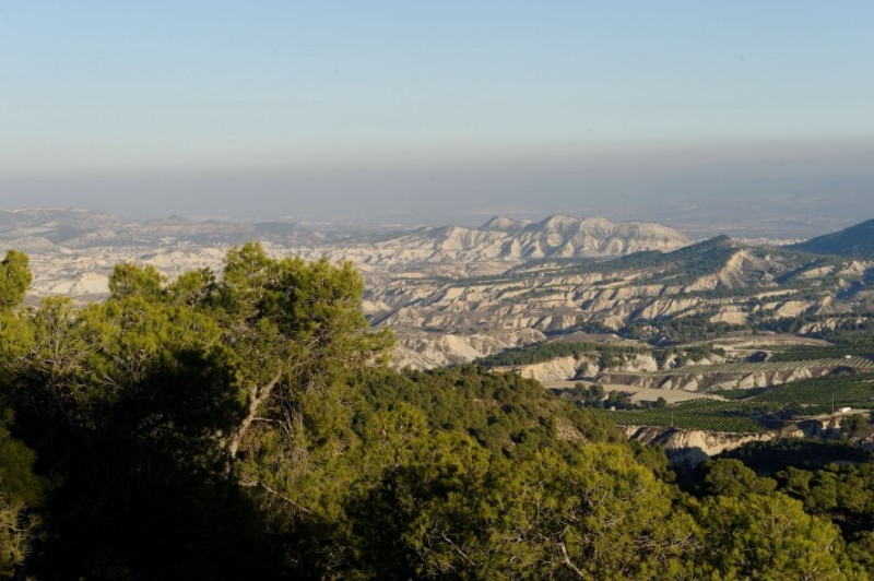 Outlying districts of Alhama de Murcia: El Berro