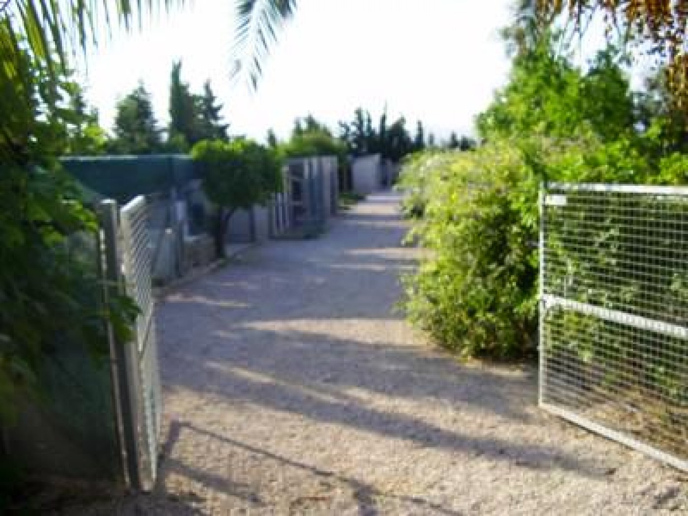 Mountain View Boarding Kennels & Cattery 