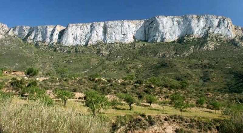 Rambla de El Cañar, Isla Plana-Tallante