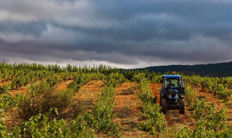 Jumilla Wine Route, Bodega Cerrón