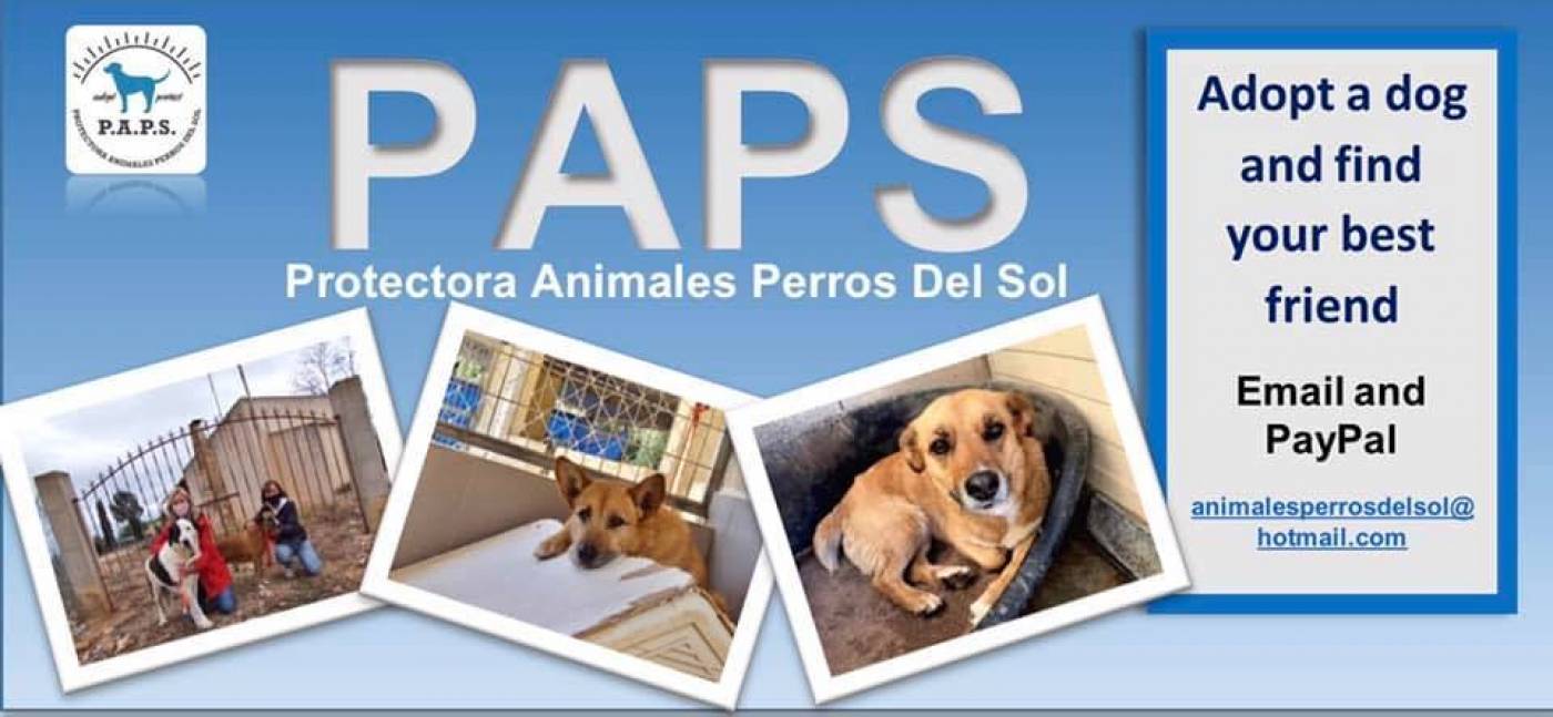 PAPS dog rescue and charity in Murcia, Spain