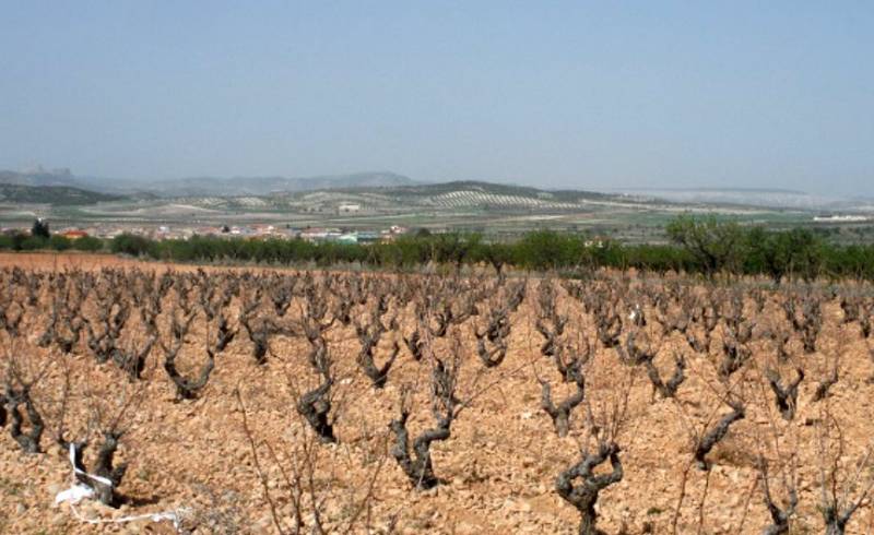 Walking in the Lorca countryside, the Rambla de Las Calaveras route in Avilés