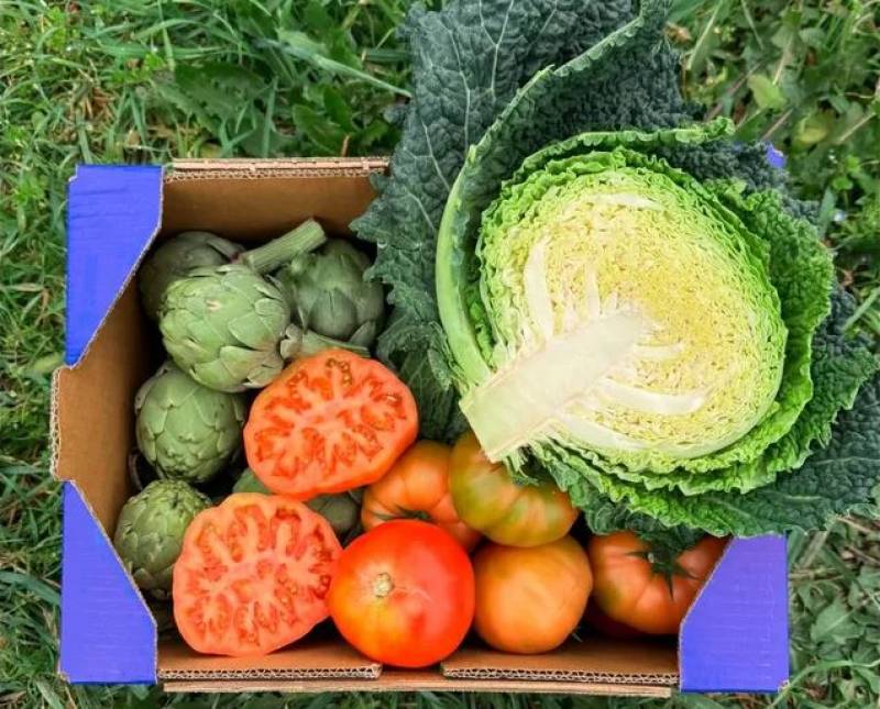 5 online platforms to buy fresh produce directly from farmers in Spain