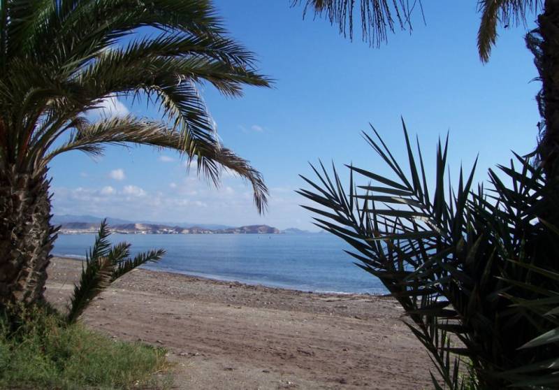 Body of elderly foreign swimmer found off Cuevas del Almanzora beach