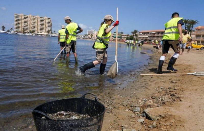 Mar Menor at risk of algae bloom as oxygen levels plummet