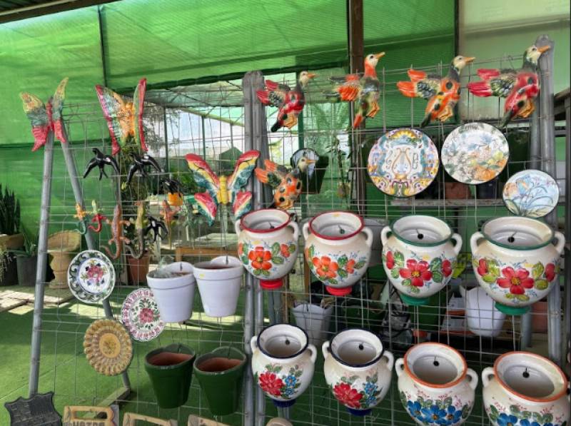 Serrano Garden Centre in Camposol: Your winter warmth starts here