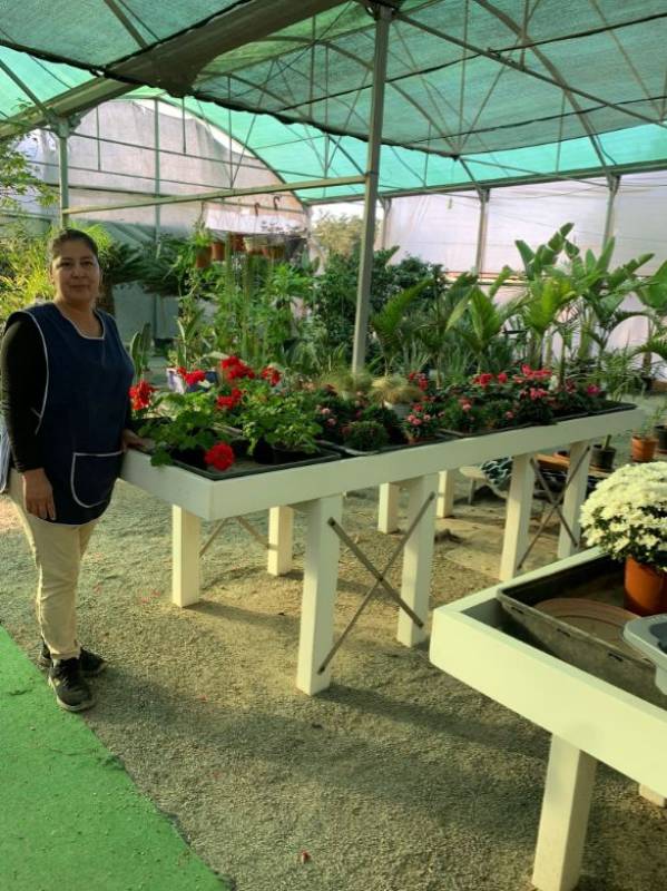 Serrano Garden Centre in Camposol: Your winter warmth starts here