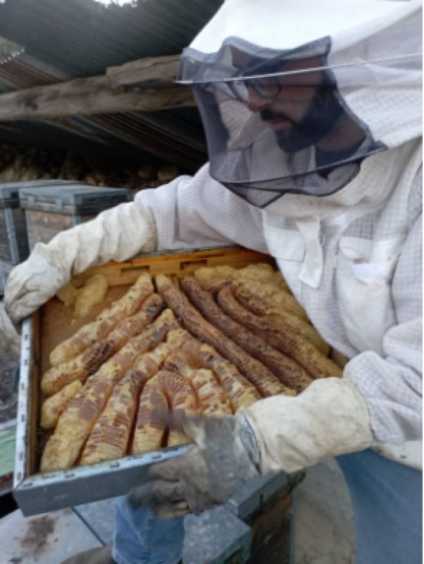 Guatazales in Bullas: Where regenerative farming brings the ancient River of Honey back to life