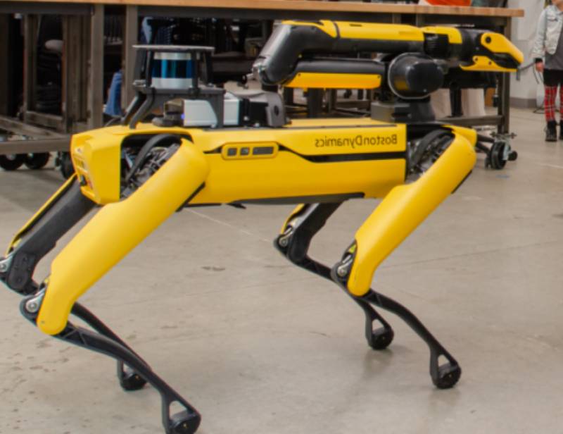 This is the robot dog helping Murcia farmers to improve the health of their trees