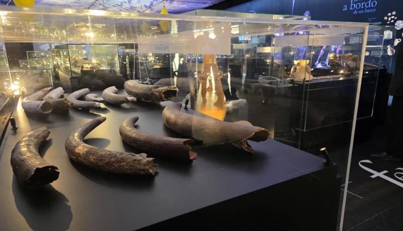Until May 24 San Javier Phoenician shipwreck exhibition at the ARQVA museum in Cartagena