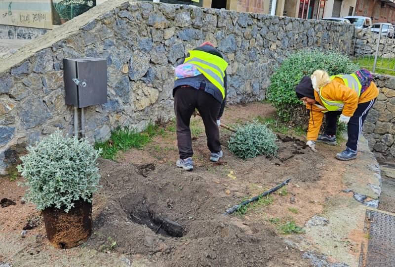 Caravaca de la Cruz plants nearly 100 trees to create more green spaces across town