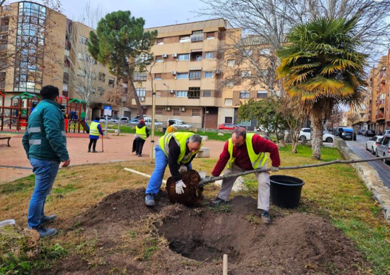 Caravaca de la Cruz plants nearly 100 trees to create more green spaces across town