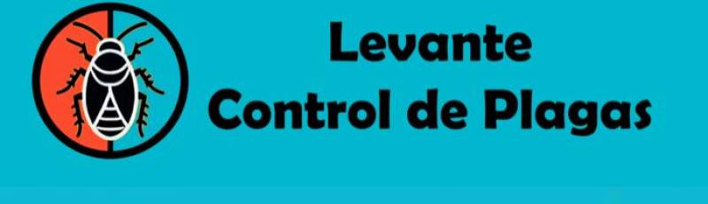 Cockroaches, ants, wasps... keep your Spanish home pest-free with expert help from Control de Plagas Levante!
