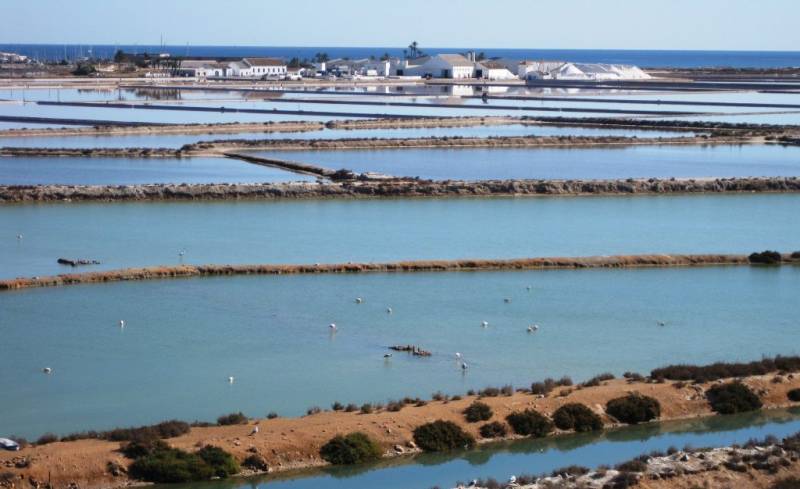 Murcia government to clamp down on wastewater dumping and coastal pollution