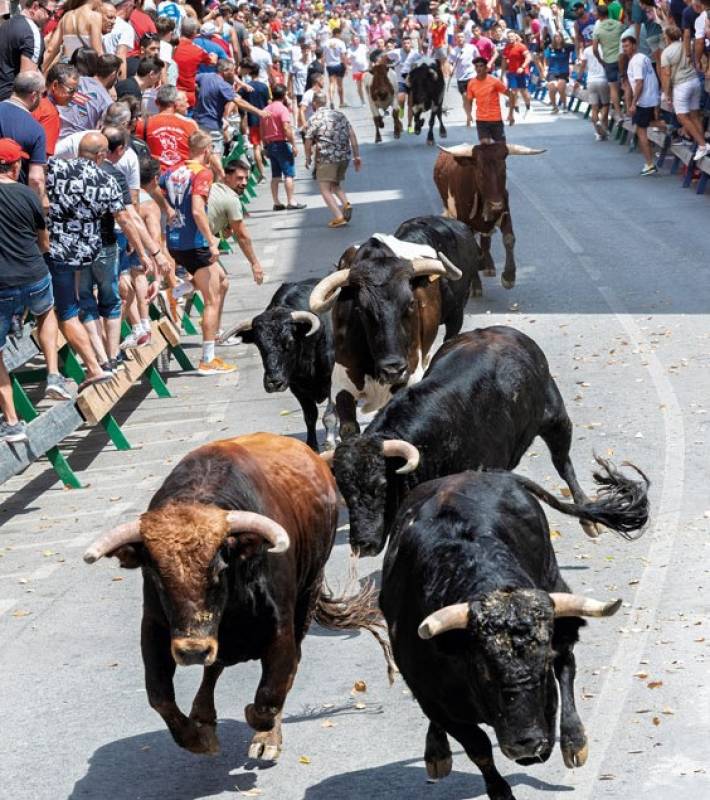 August 8 to 15 The Bull Runs of Blanca