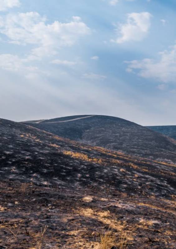 Spain's wildfires may be dying down but experts warn the real danger is only just beginning