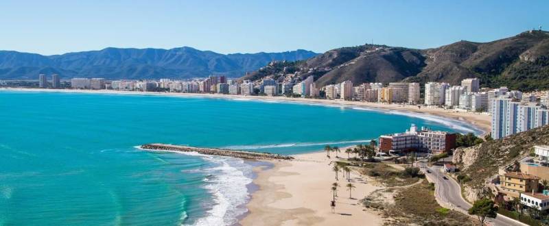 Irish couple found dead in Valencia home by their special needs children