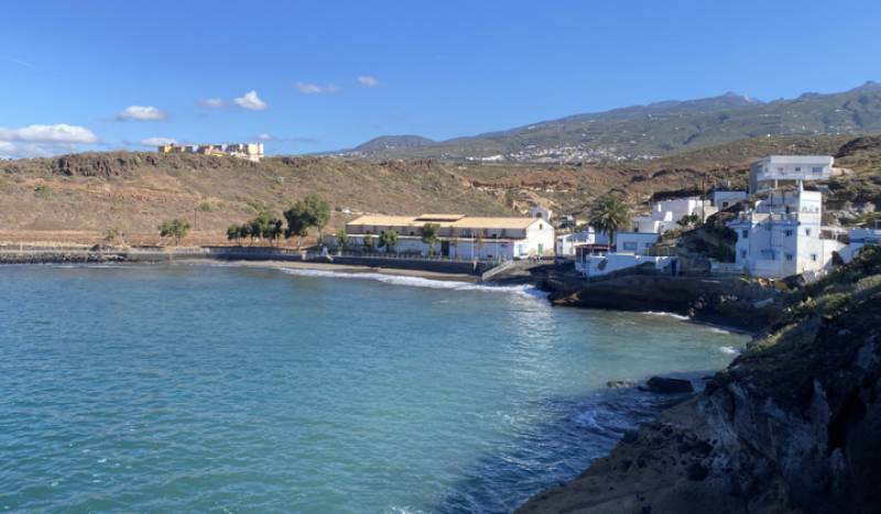 Man arrested after dog allegedly burned alive in Tenerife