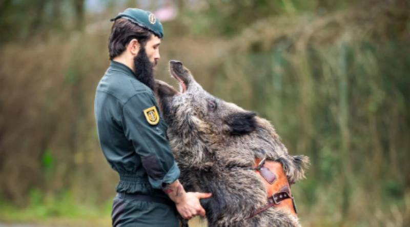 Guardia Civil welcomes its newest four-legged recruit