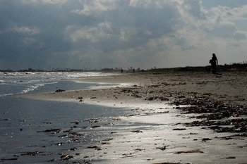 Parque Regional Salinas y Arenales de San Pedro del Pinatar