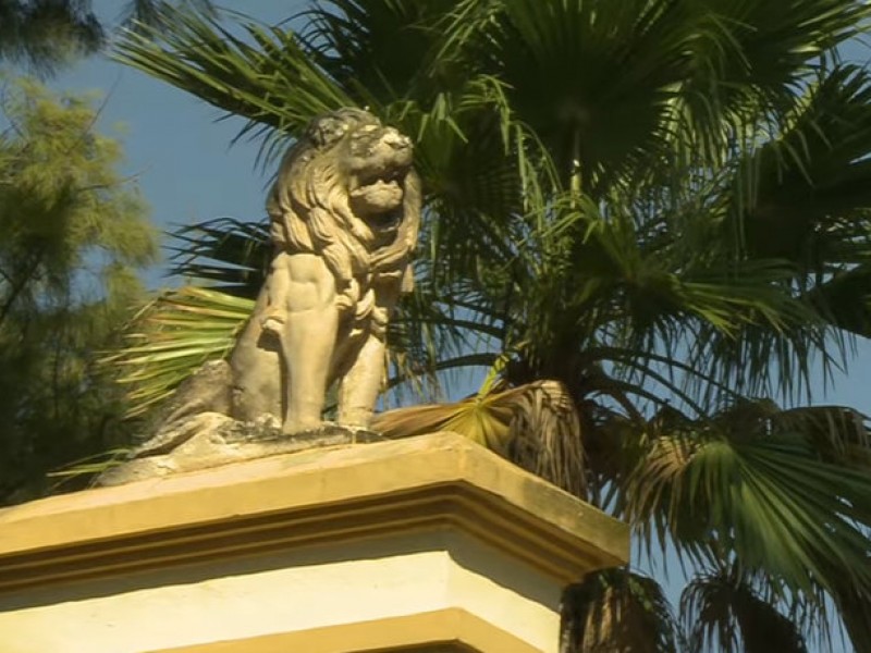 Jacarilla