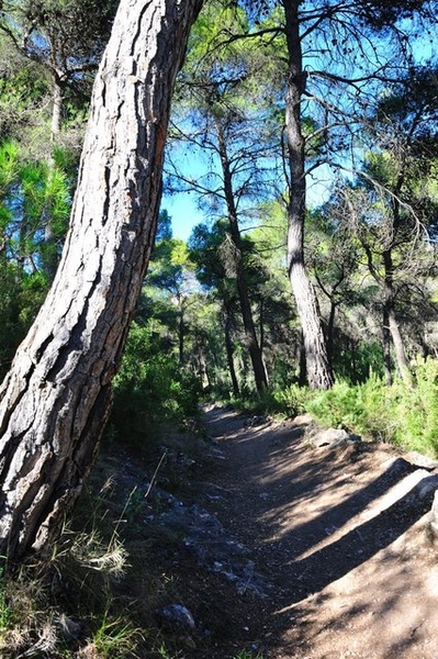 Alhama de Murcia